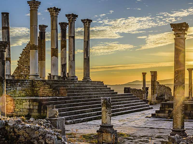 Volubilis (Volubilis)